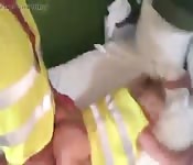 Les culs des Gilets Jaunes