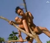 Baise sur un arbre